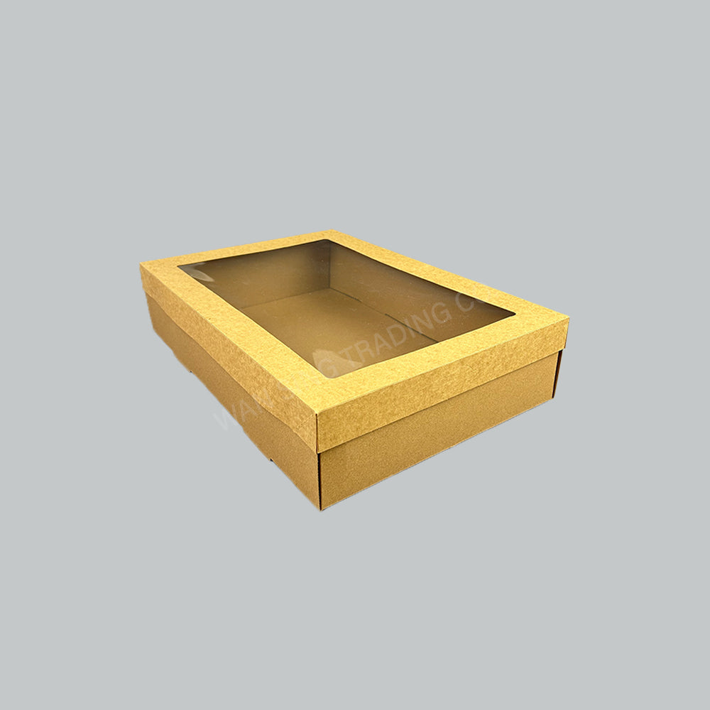 BP BIOBOARD W/WINDOW LID MEDIUM-100'S/CTN